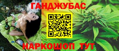 мдпв Гагарин