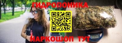 мдпв Гагарин