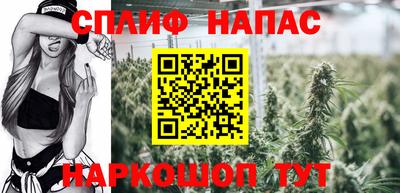 мдпв Гагарин