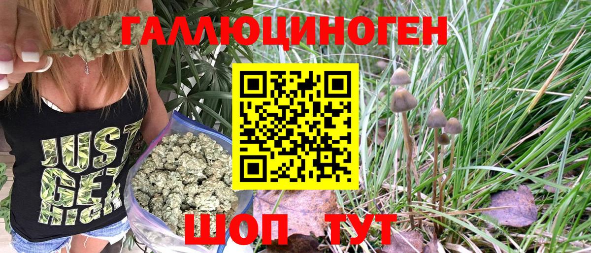 Галлюциногенные грибы Psilocybe Мыски